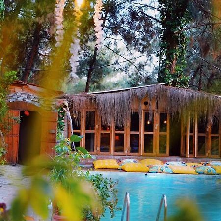 Kayserkaya Cottages Selçuk Extérieur photo