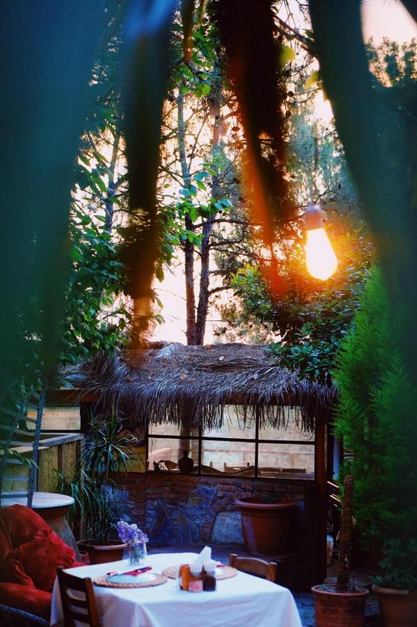 Kayserkaya Cottages Selçuk Extérieur photo
