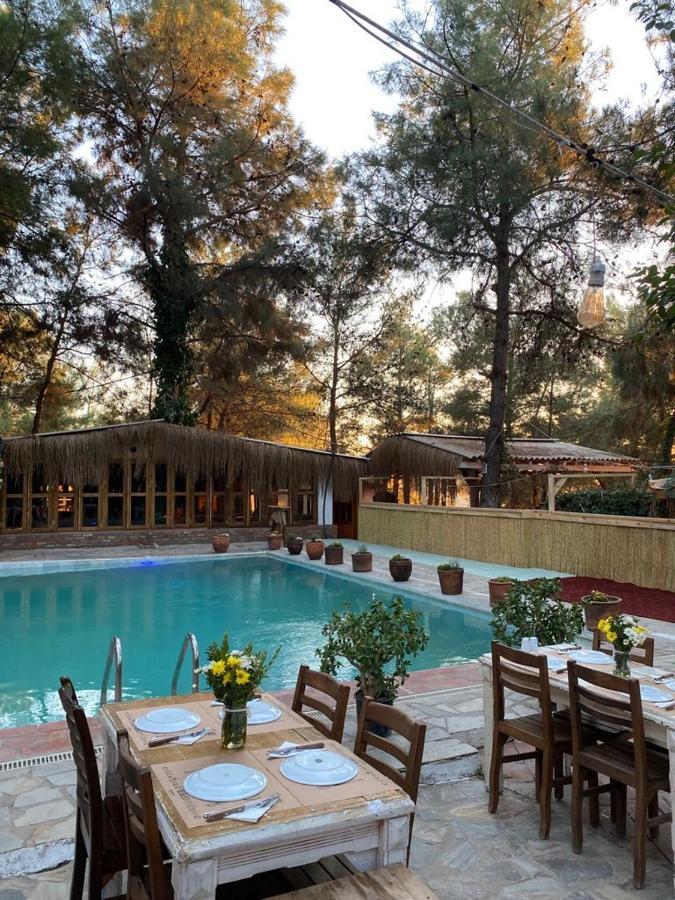 Kayserkaya Cottages Selçuk Extérieur photo